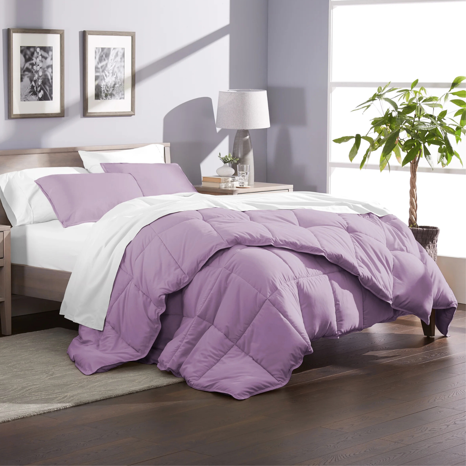 Linenspa Premium & Fluffy Bed Comforter for Bedrooms, Dorm Decor & Sleeping | Lightweight & Washable Duvet Comforter Queen Size for All Seasons – Enjoy Luxurious, Cozy Sleep Every Night - Image 17